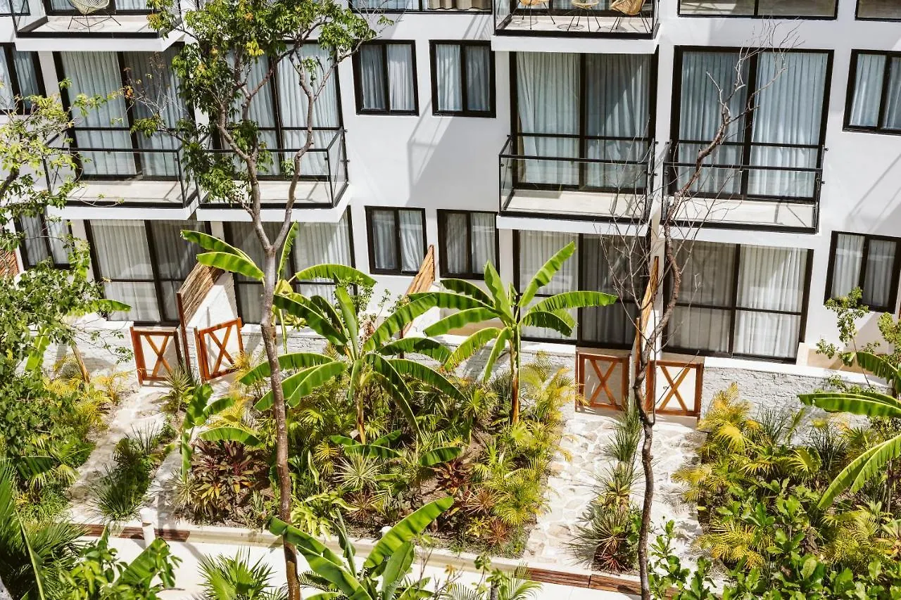 The Waves Tulum By Bnb Experience
